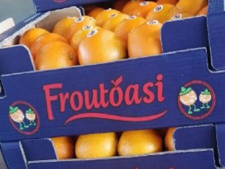 froutoasi